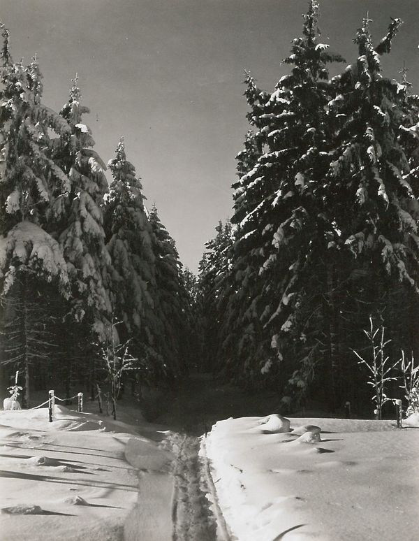 A photo of a path through snow covered woodland - source: Deutsche Fotothek, Germany - CC BY-SA.