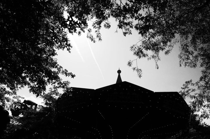 A photo of a building roof with trees around it