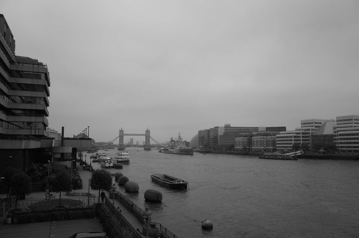 The Eight Intelligences We Need at Work