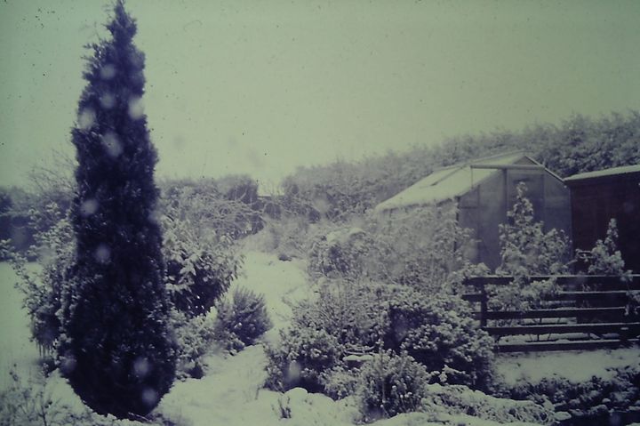 A photo of a snowy garden