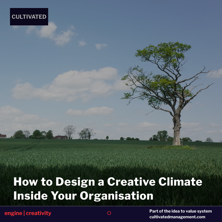 A photo of a tree in a field with the words overlaid - How to Design a Creative Climate Inside Your Organisation