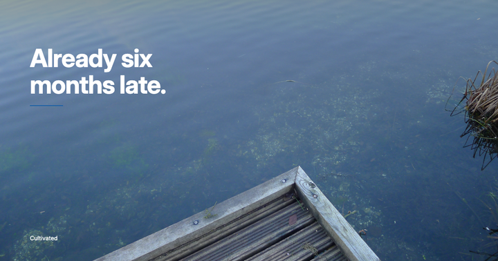 A photo of Anton Lake in Andover with the words overlaid - Already six months late.