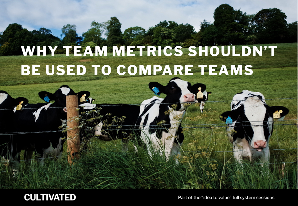 A photo of some cows with the words overlaid - Why Team Metrics Shouldn’t Be Used to Compare Teams