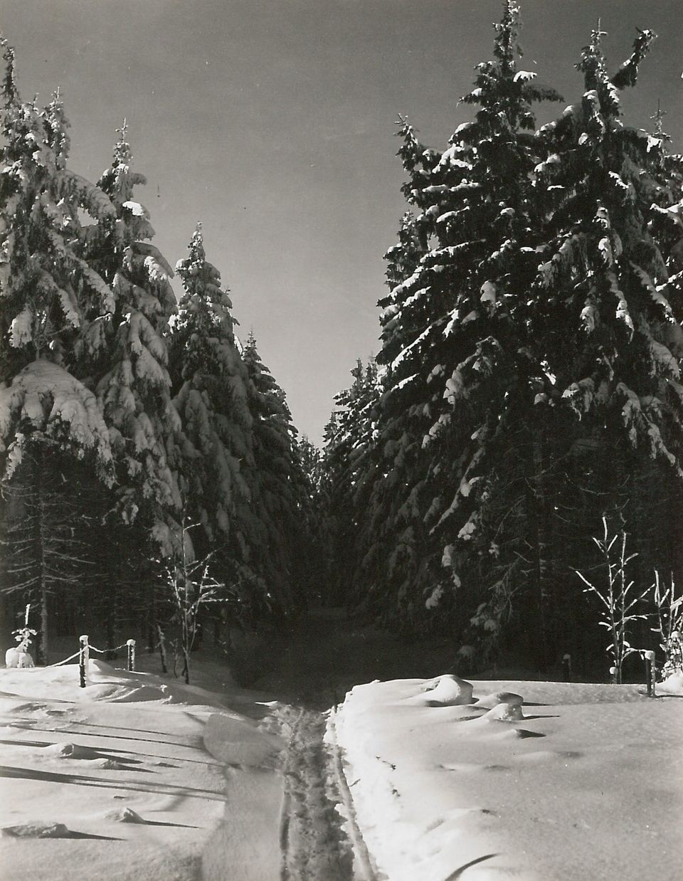 A photo of a path through snow covered woodland - source: Deutsche Fotothek, Germany - CC BY-SA.