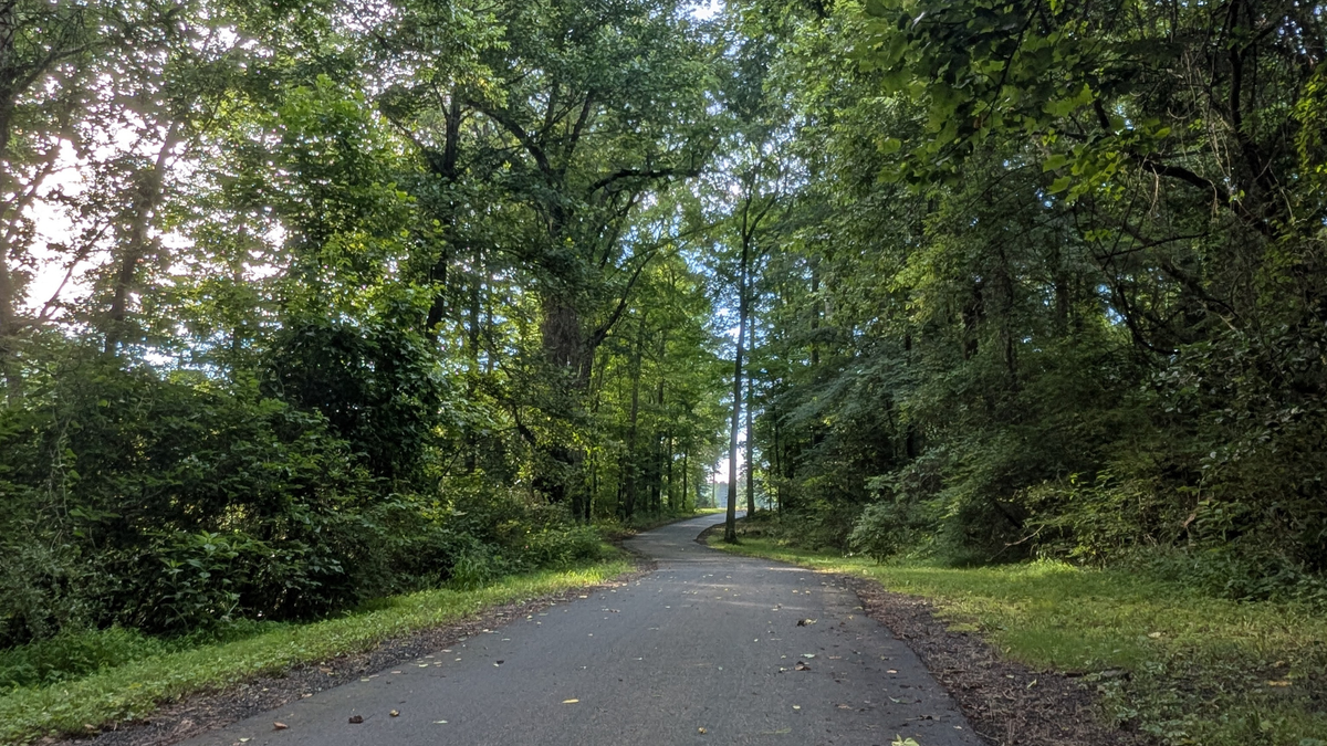 Single lane asphalt road with lush summer greenery on either side of the road.