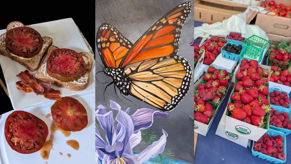 Fresh cut tomatoes on wheat bread, a butterfly mural, and ripe strawberries at the market.
