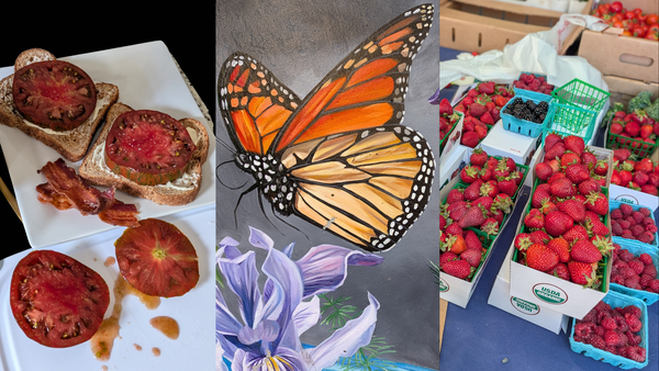 Fresh cut tomatoes on wheat bread, a butterfly mural, and ripe strawberries at the market.