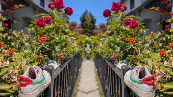 White Nike shoes with red and green trim sitting on top of a fence lined with roses.