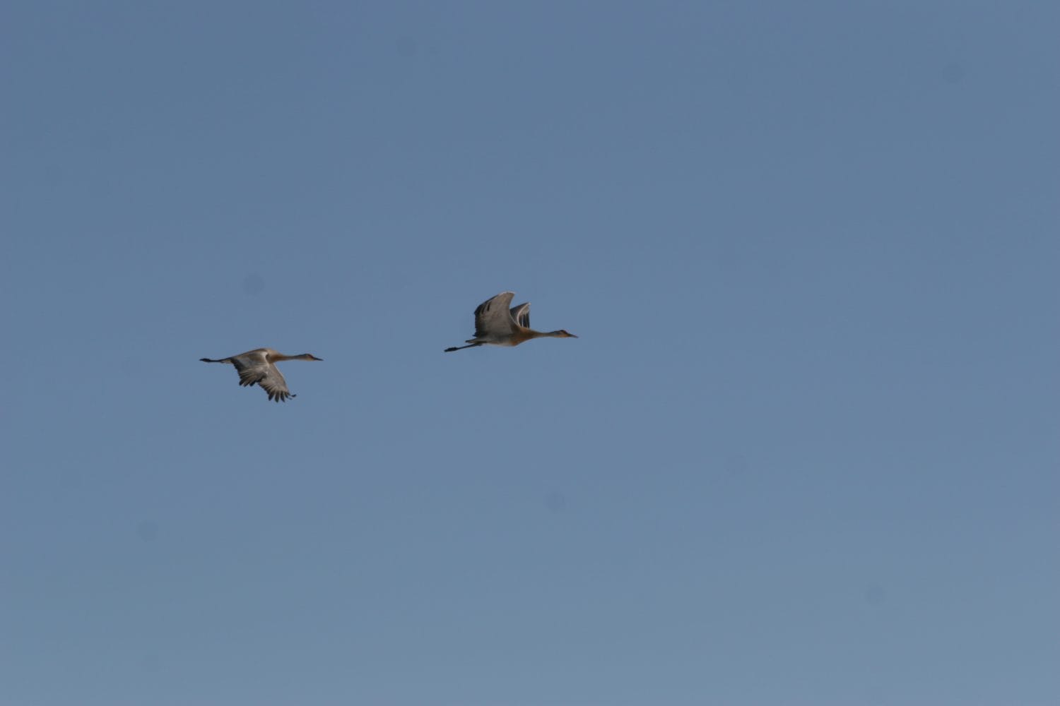img_0136-copy