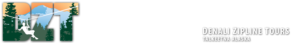 logo-DZT4