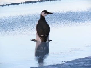 IMG_8179