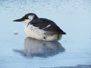 IMG_8228