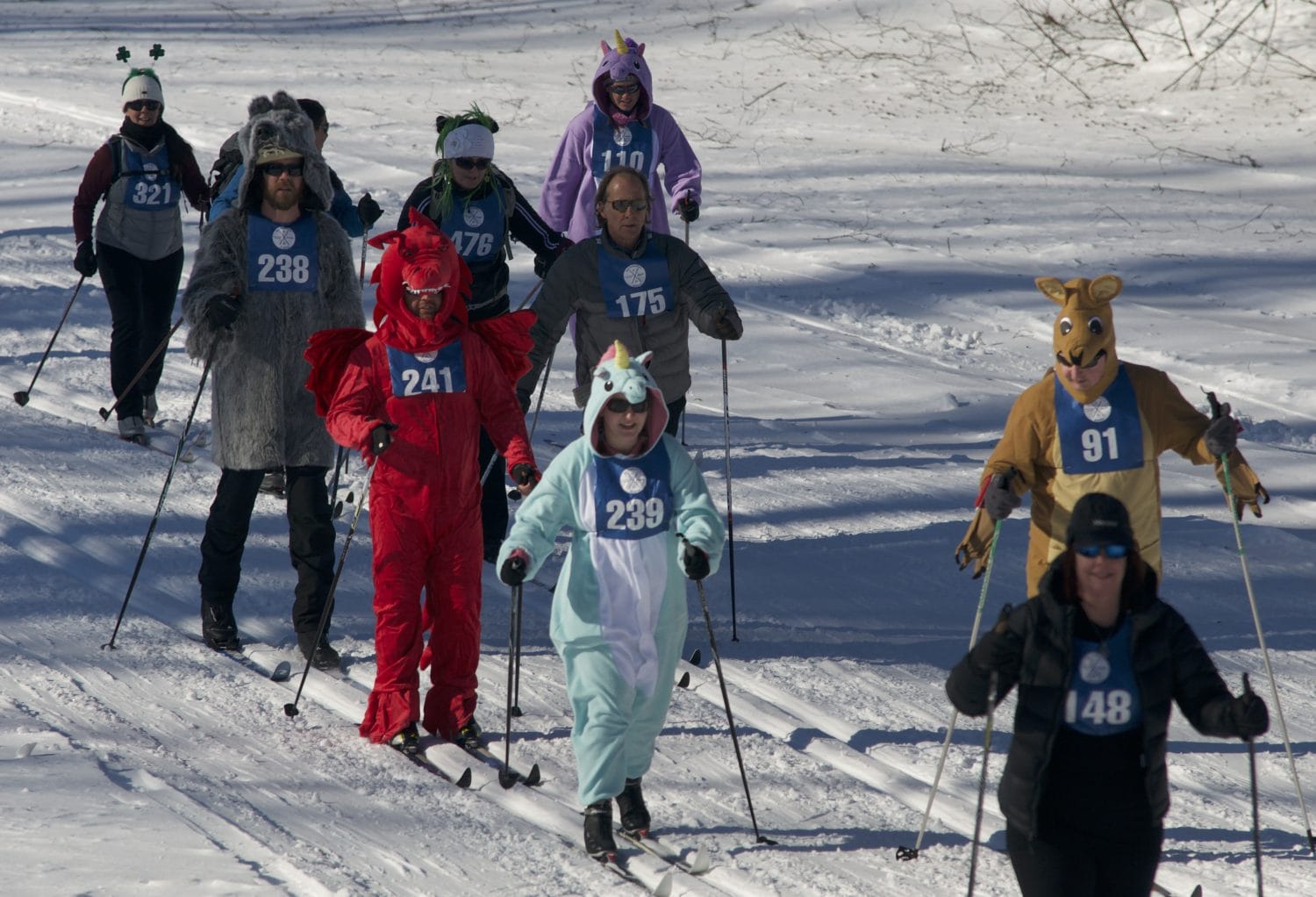 A sample of this year's festive Oosik costumes.  Photo:  Phillip Manning