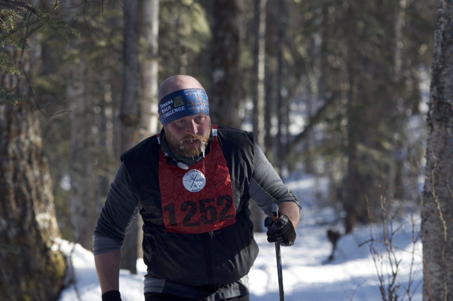 A competitor in the Oosik's 50km race makes his way through the Talkeetna woods.  Photo:  Phillip Manning
