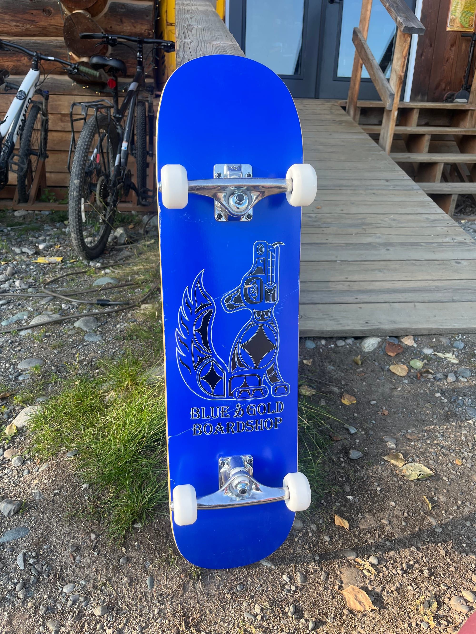 Talkeetna Skatepark Receives AARP Grant