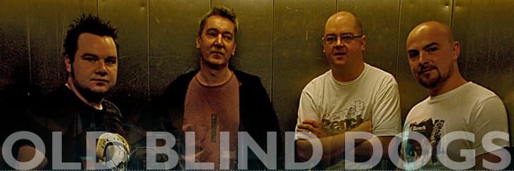 Old Blind Dogs: In Concert