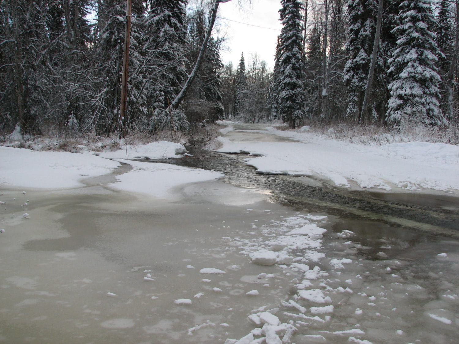 Willow Creek flooding displaces residents