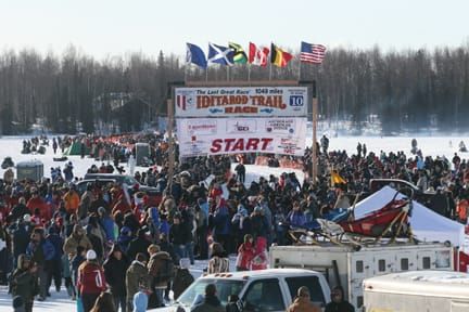 Iditarod Report for March 10th, 2021
