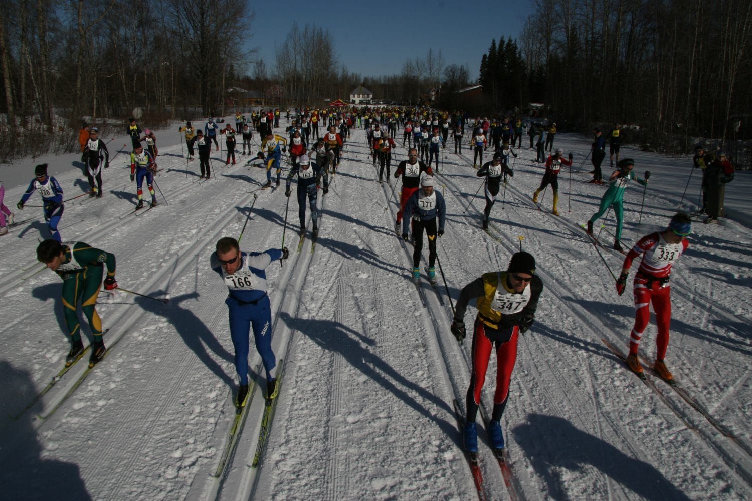 10th Annual Oosik brings hundreds to Talkeetna