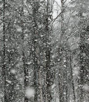 Where is Winter?