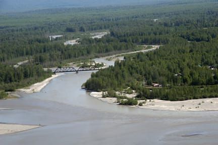 Talkeetna River too silty for trout