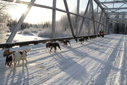 Montana Creek Bridge