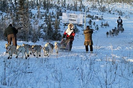Mushing season is in full swing