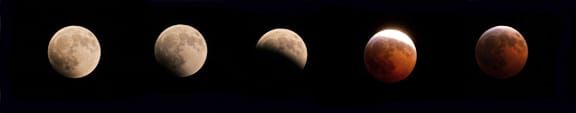 Lunar Eclipse 2010