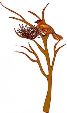 Storynory & Mory - Nest Building