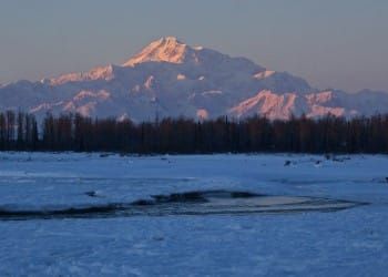 Natural Observations- The Details of Winter 12-29-13