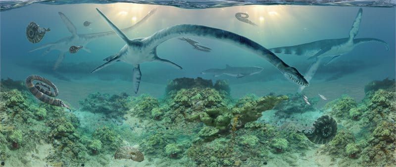 First elasmosaur fossils in Alaska discovered in Talkeetna Mountains