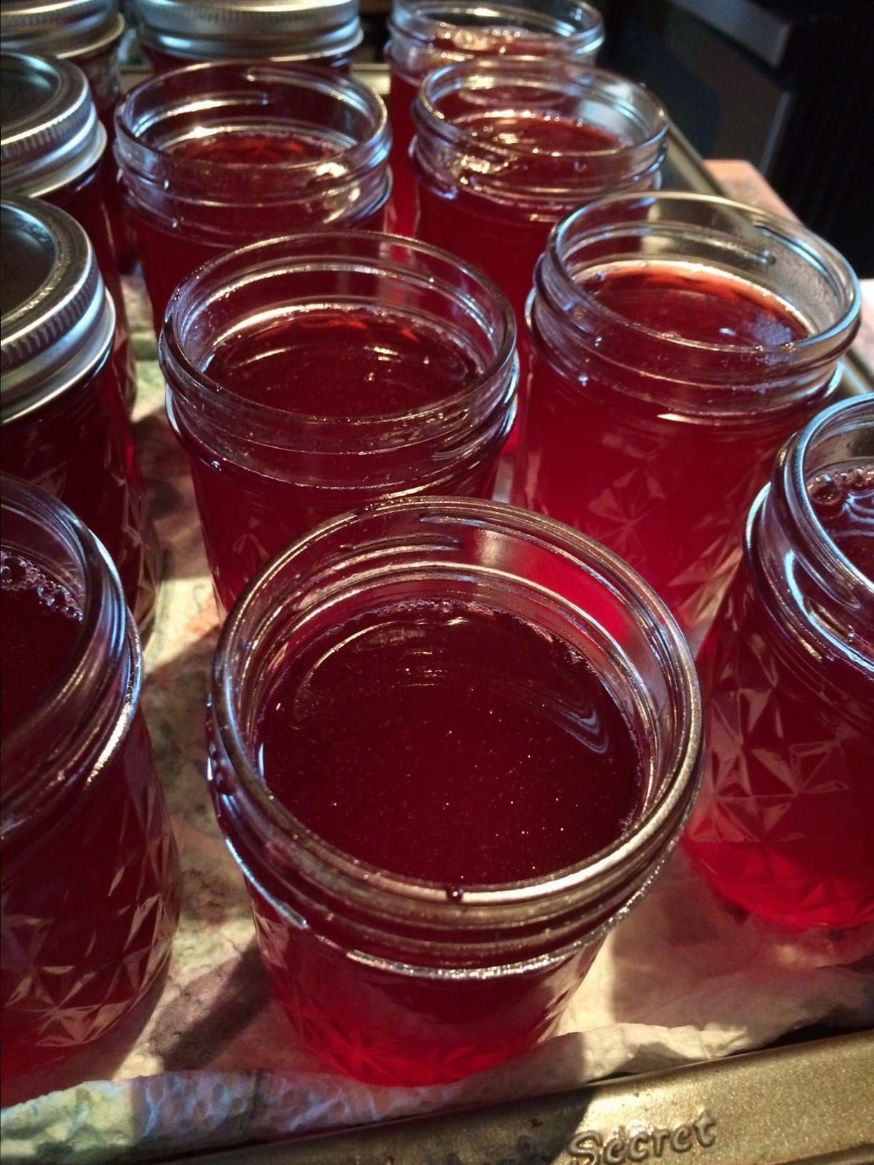 Fall foods:  High bush cranberry jelly