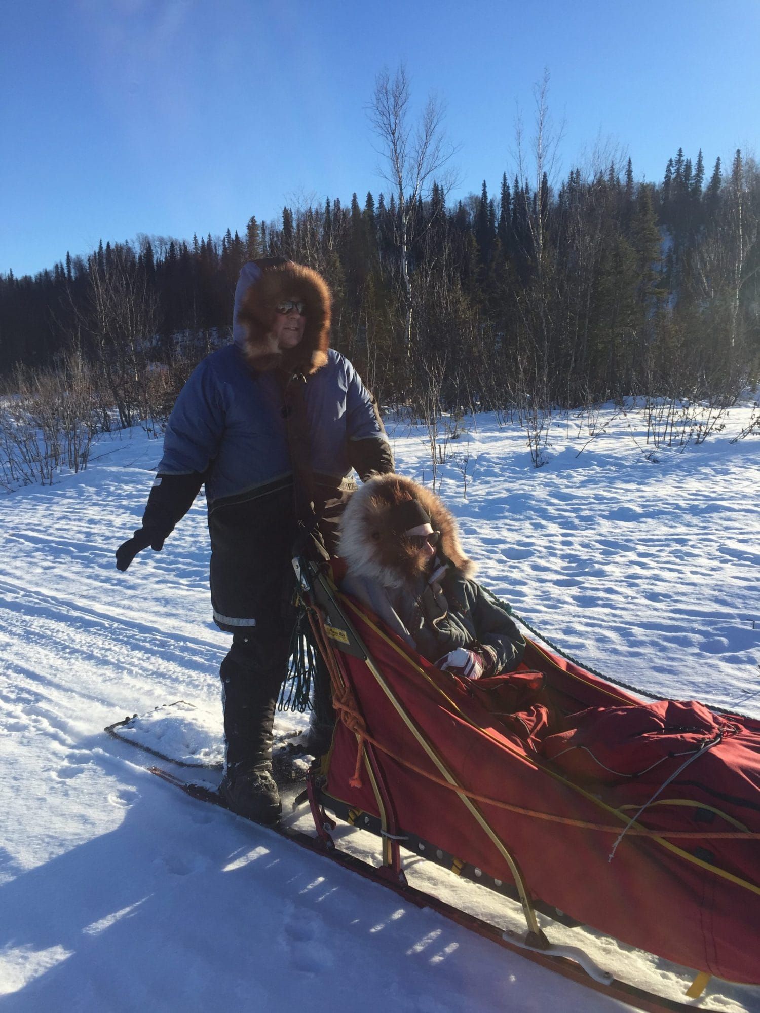 Winter Business:  Talkeetna Sundog Kennel