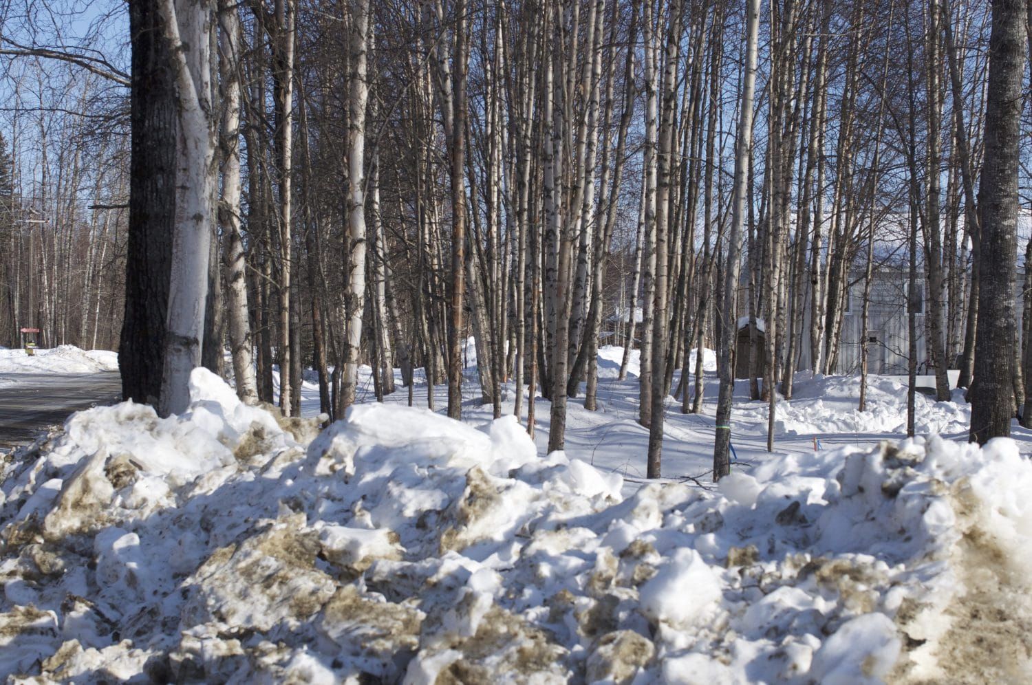 Work to resume on Talkeetna Airport project