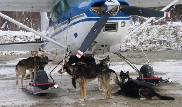 Iditarod Air Force complete their checklist for this year's race