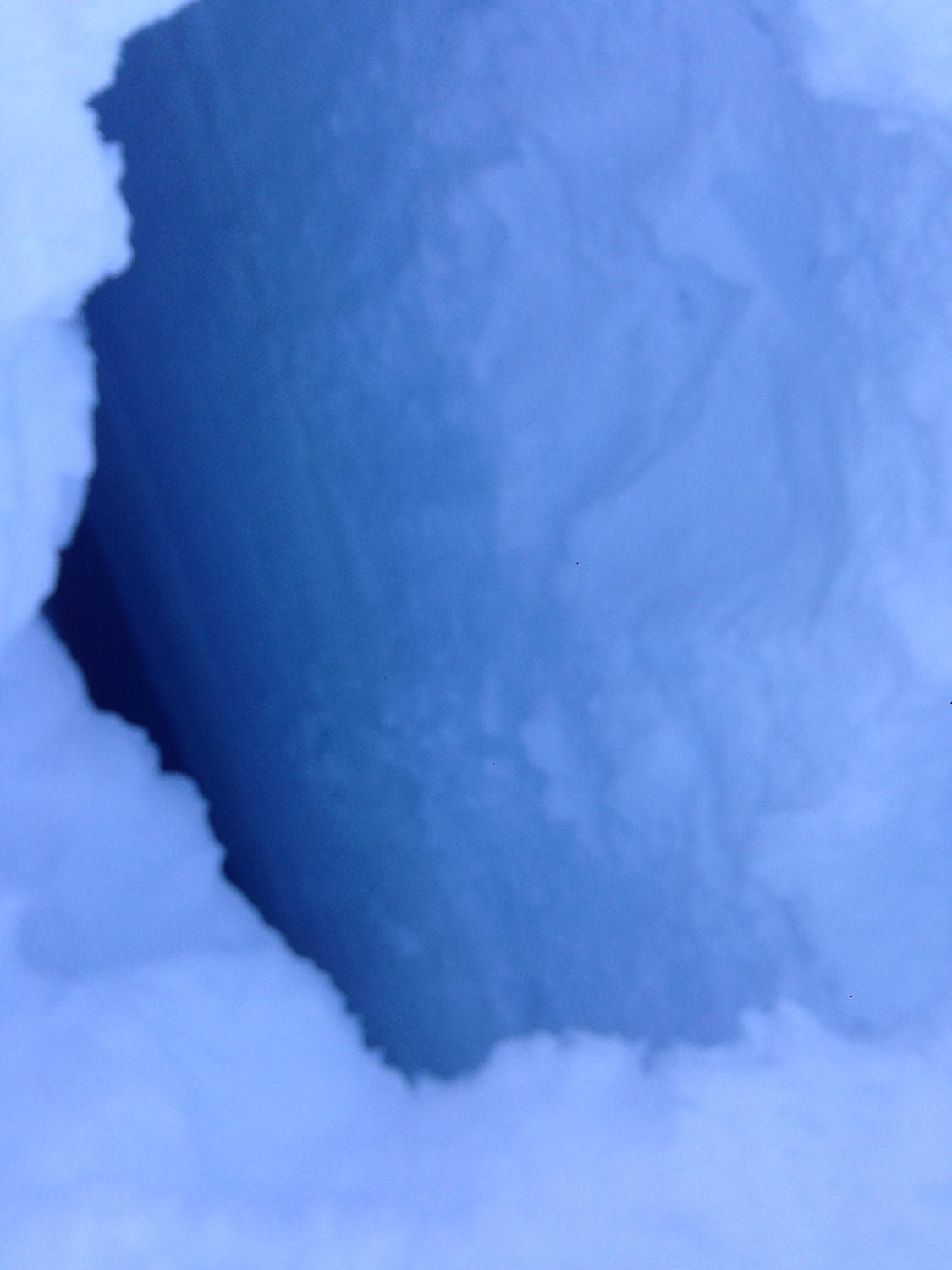 Denali Report for June 9, 2017:  Crevasse Rescue