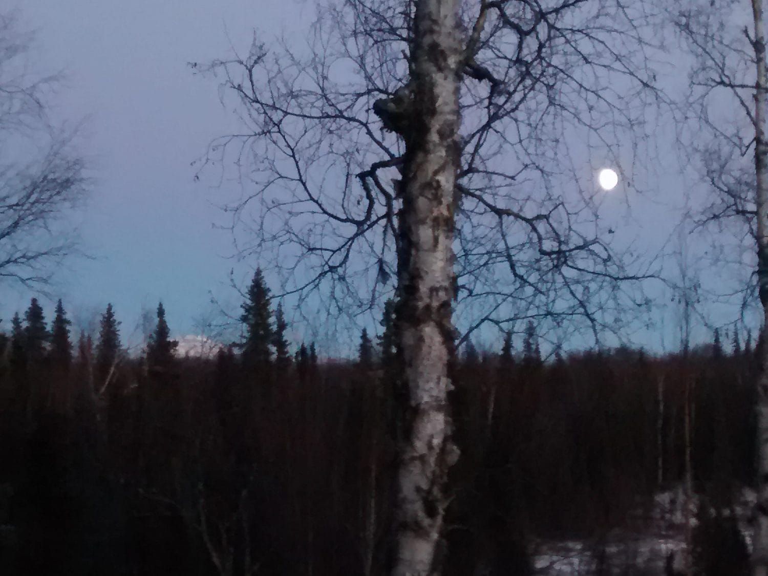 StarDate Susitna, 11-26-17