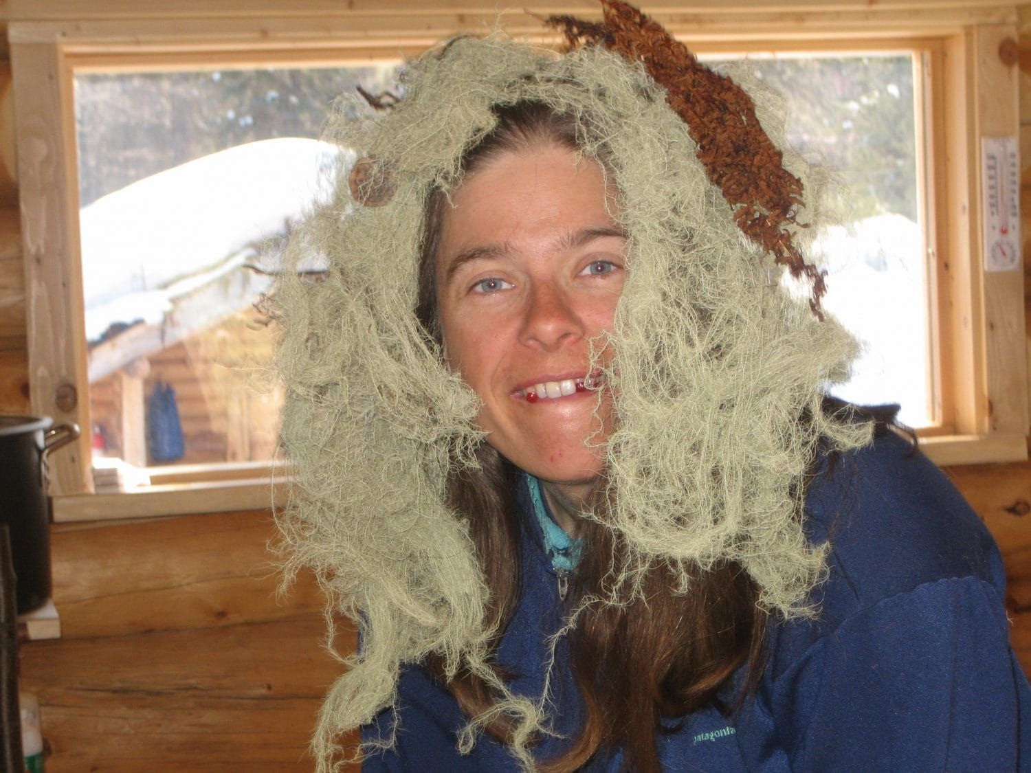 Susitna Writer's Voice - "The Bane of a Sweltering Summer" by Maureen Chambrone