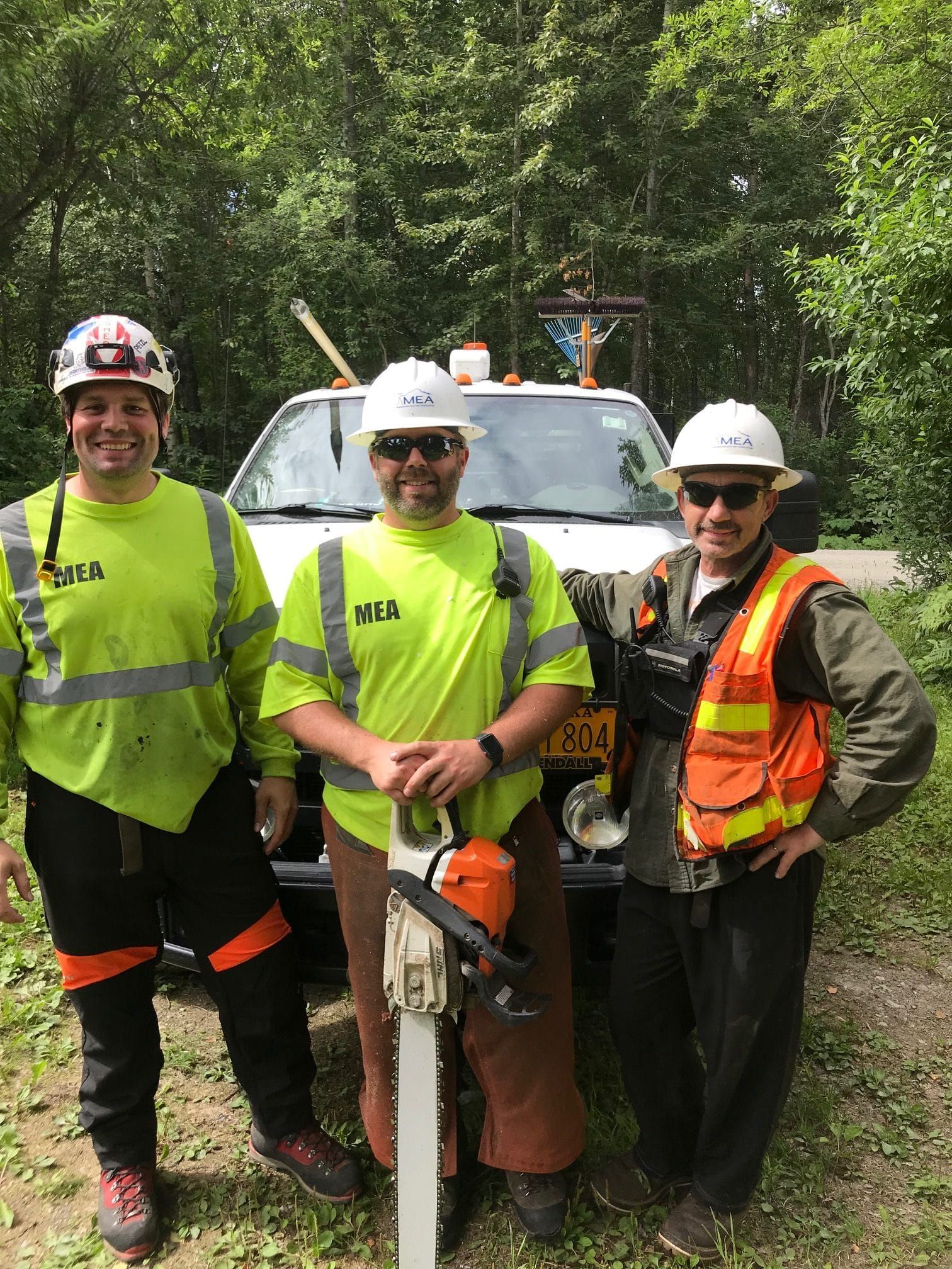MEA emphasizes Safety in tree removal