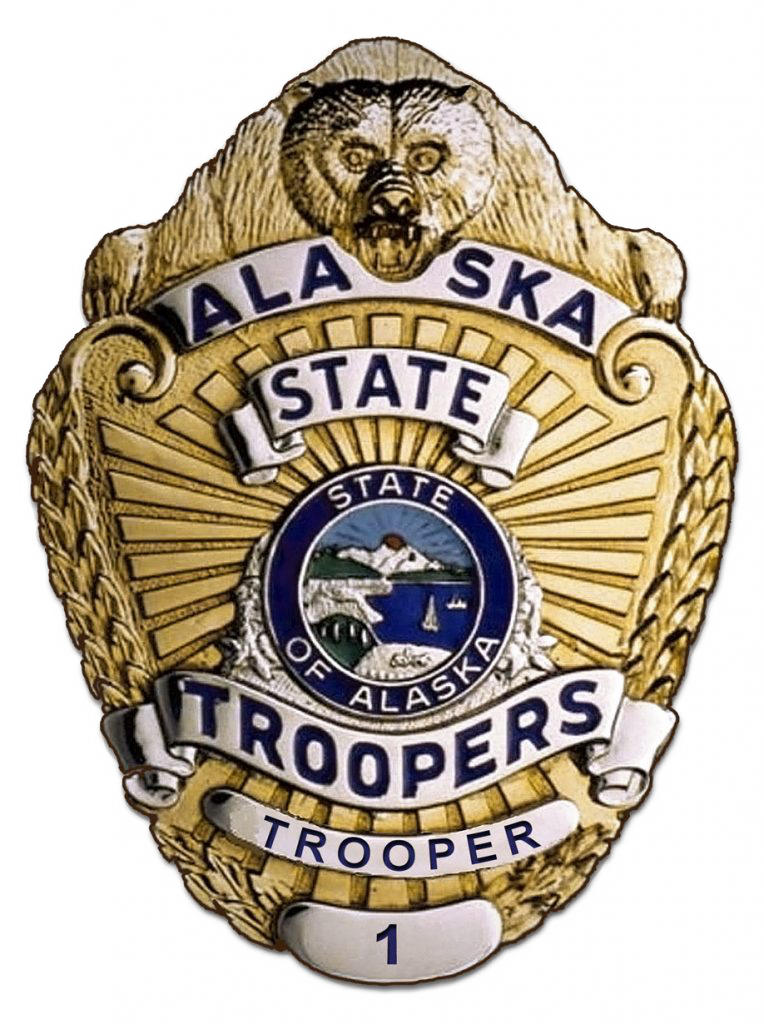 German driver dead after Parks Highway collision