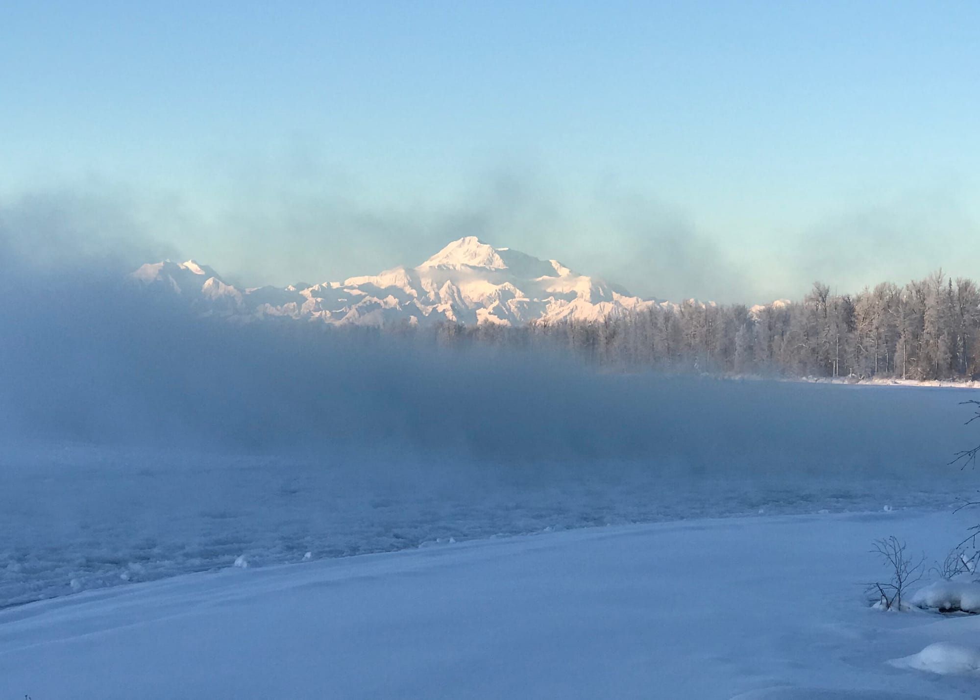 Denali Report for June 17th, 2022
