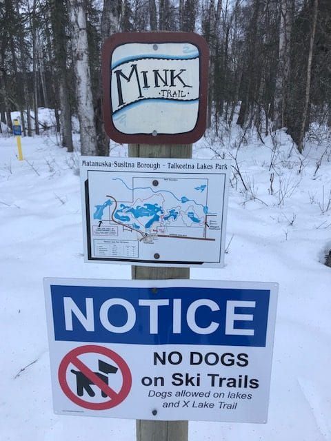 Denali Junior Nordic coaches combine moose awareness with fun games