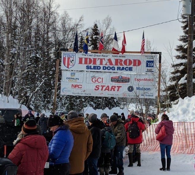 Iditarod Report for March 12, 2026