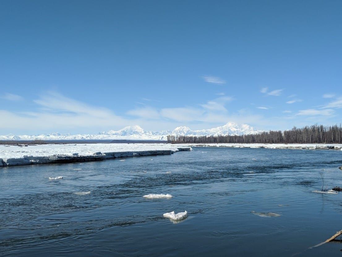 Official Susitna breakup date ties record