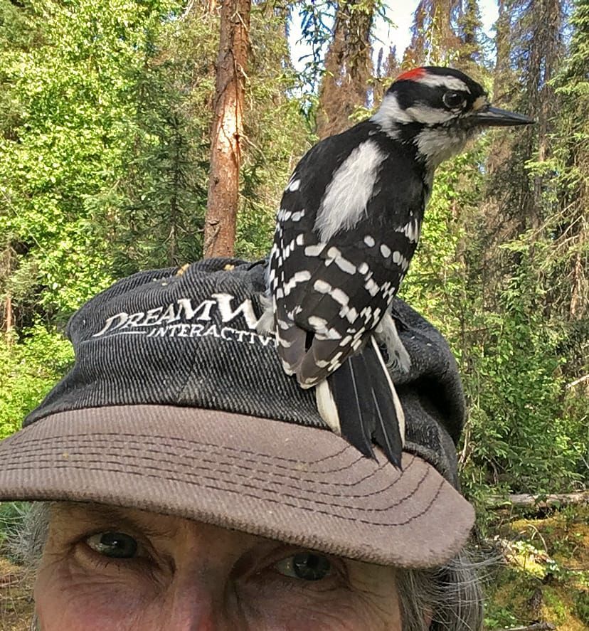 Susitna Writer's Voice - "The Art of Standing Still" by Robin Song