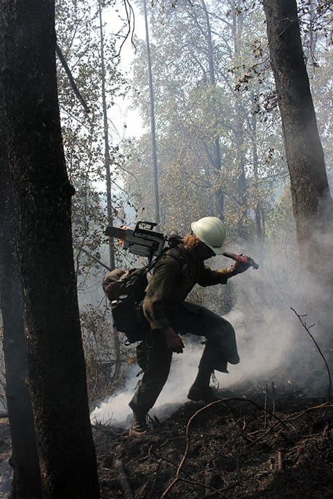"Excellent" progress reported on Malaspina Fire; Larger command team to take over