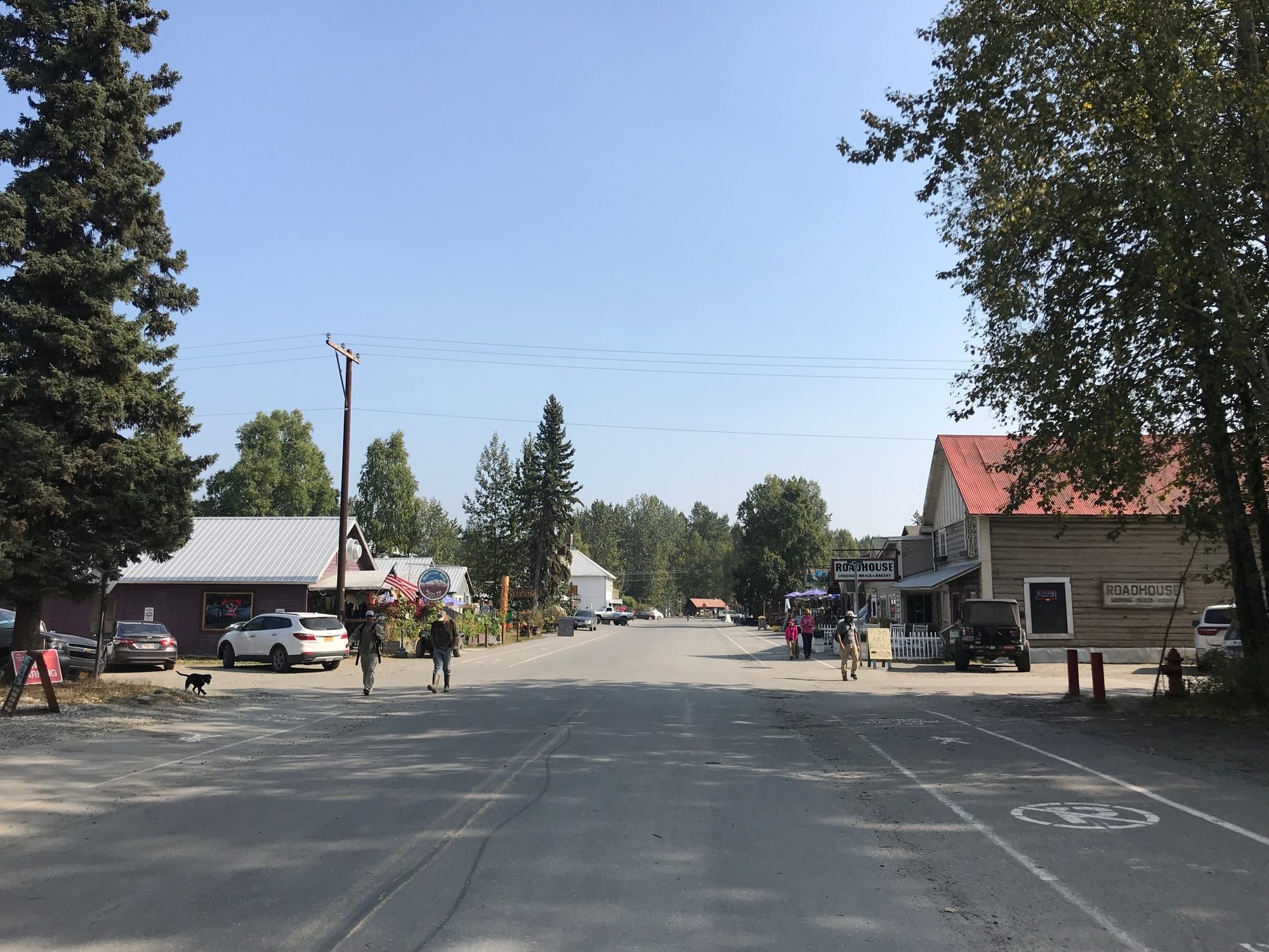 Talkeetna Community Council addresses downtown bathrooms, bank stabilization, invasive trees, and recycling.