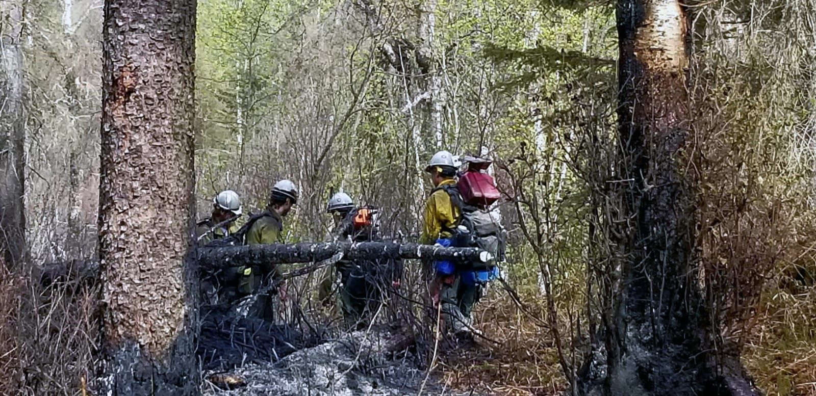 56-acre Wildfire north of Wasilla now one-hundred percent contained