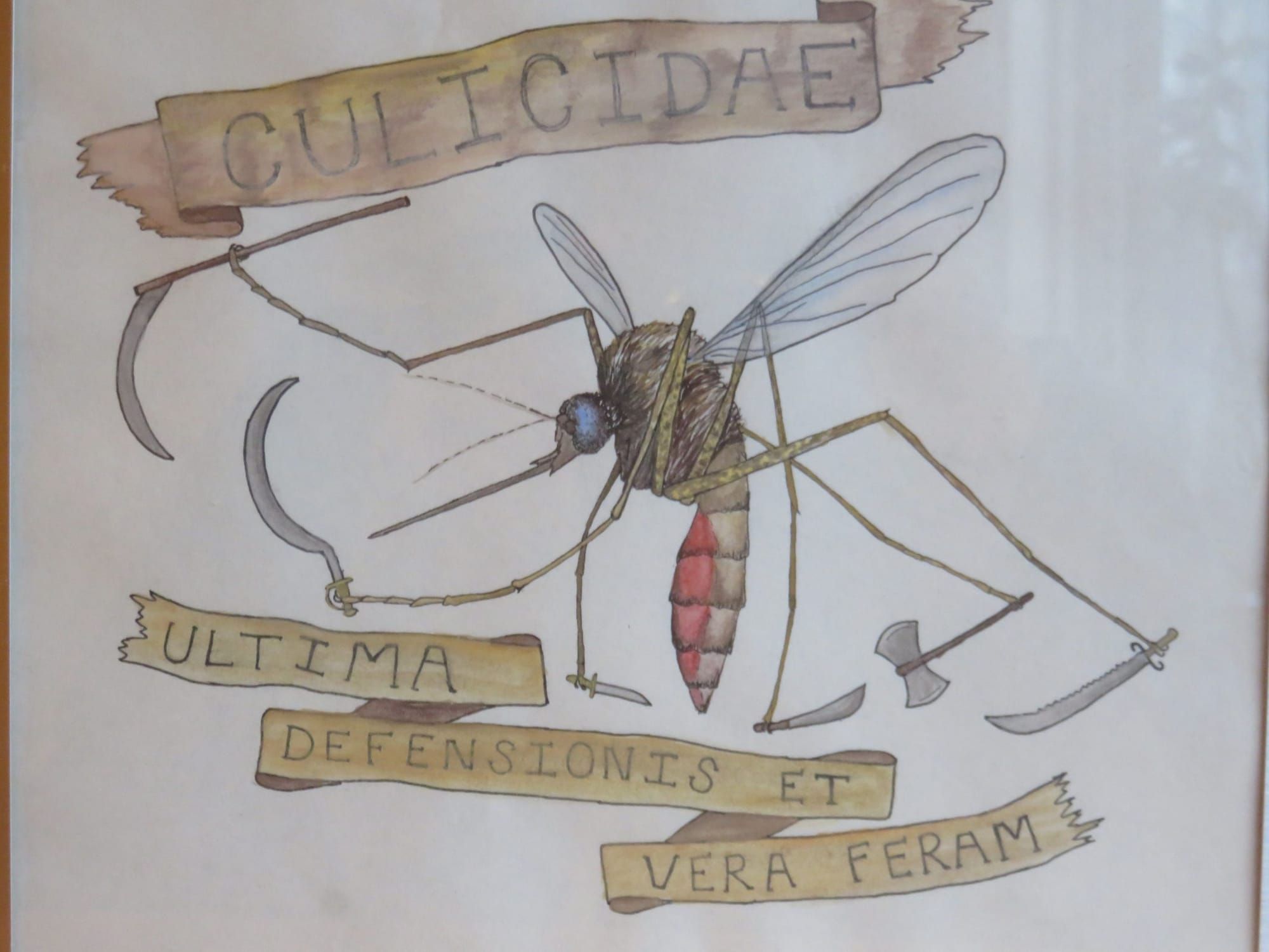 Susitna Writer's Voice 7-5-20  "Mosquitoes"