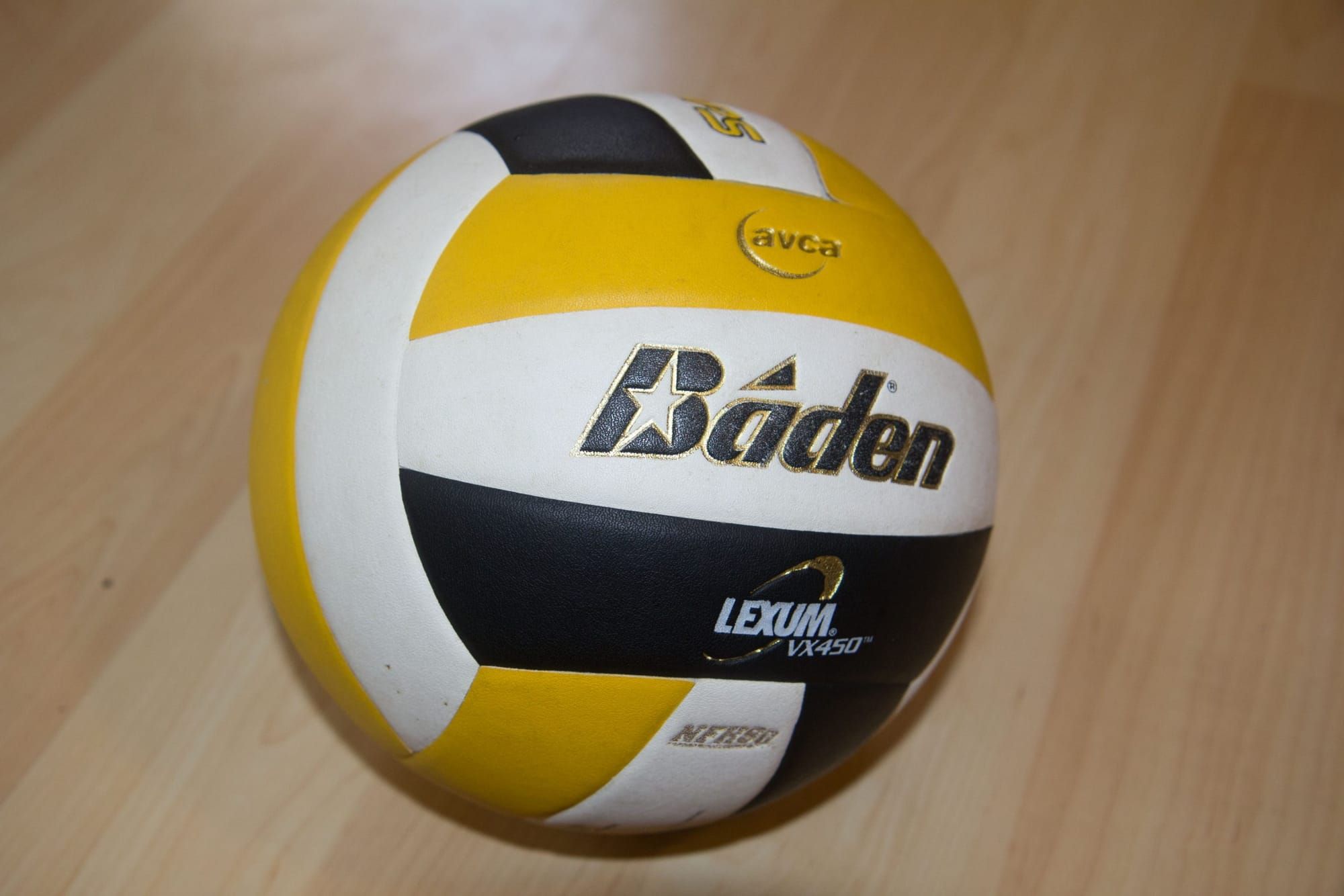 Su Valley Returns to State Volleyball Tournament